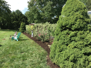Result: Neat and sculpted