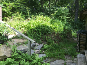 Challenge: Tame the wild