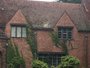 Challenge: Remove Ivy